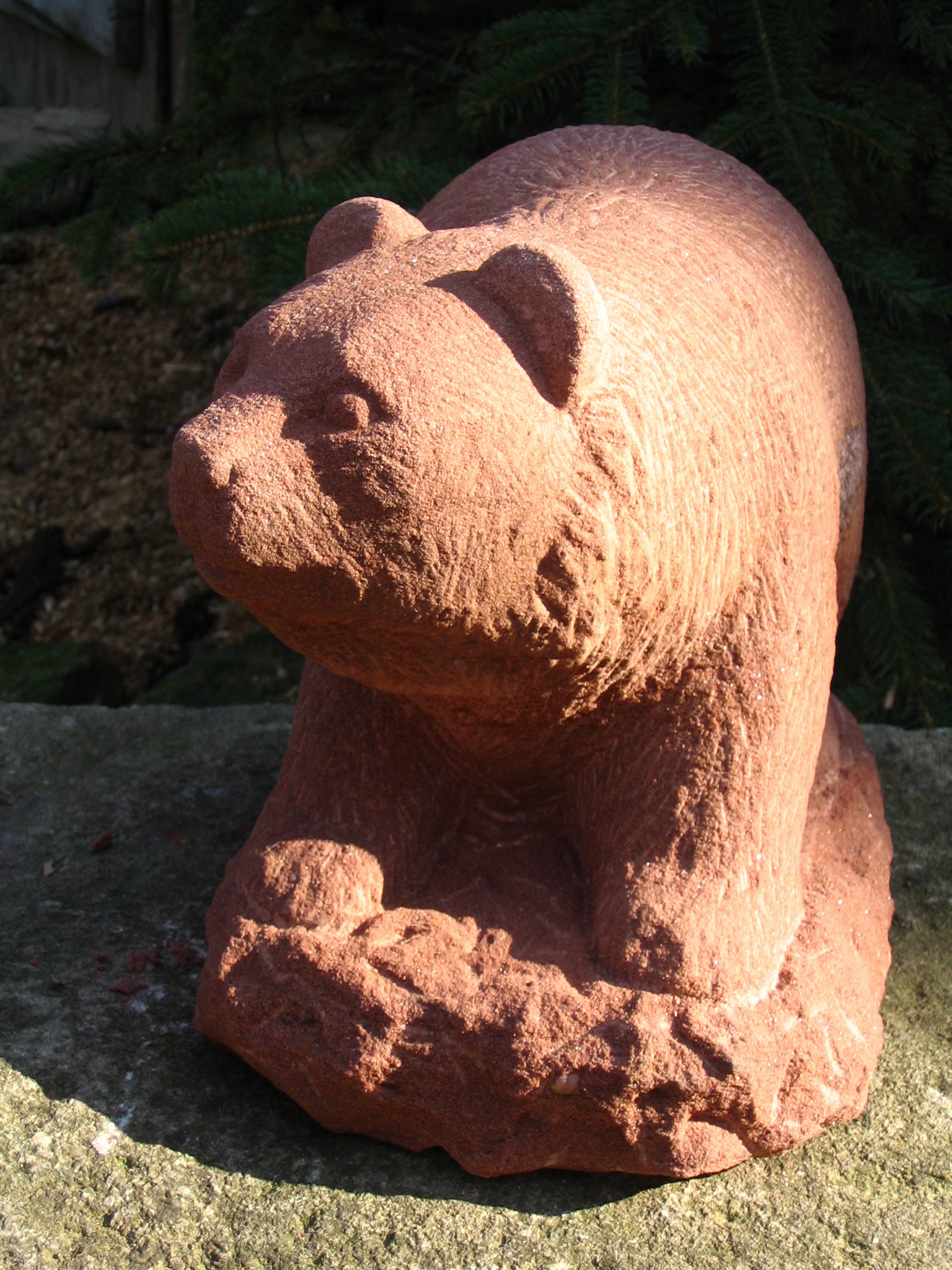Baer2 10 04.jpg